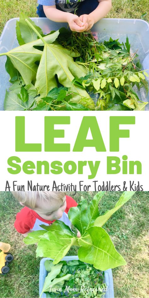 Nature Sensory Bin, Sensory Play For Toddlers, Green Activities, Sensory Play Toddlers, Toddler Sensory Bins, Indoor Toddler Activity, Forest School Activities, Plant Activities, Garden Activities