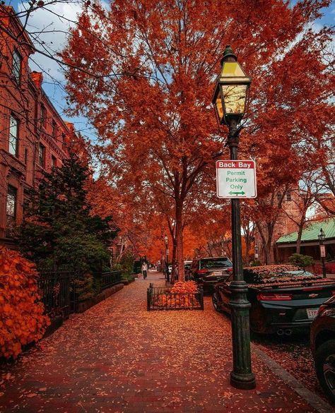 Boston Nightlife, Boston Massachusetts Photography, Back Bay Boston, Boston Street, Boston Photography, Visiting Boston, Dog Model, Dark Fall, Autumnal Equinox