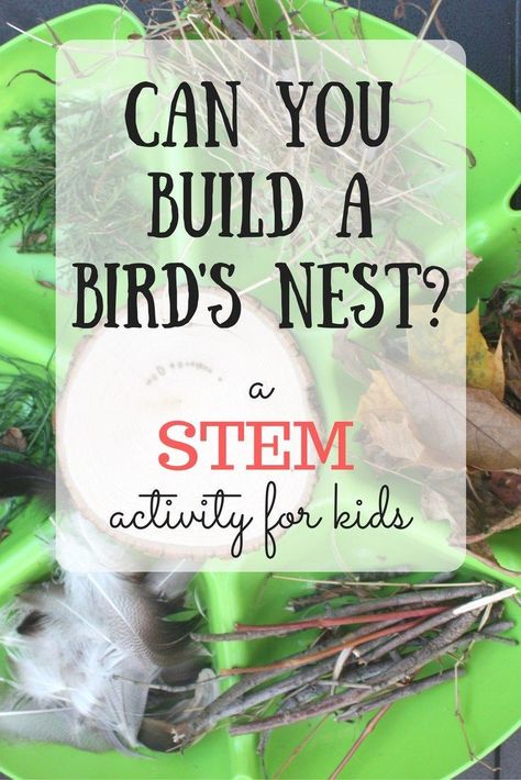 Can you build a nest? This STEM challenge for kids gets kids thinking creatively and applying imagination to science! Animal Habitat Steam Activities, Stem Animal Habitats, Habitat Stem Activities, Animal Habitat Junior Badge, Loose Parts Science Preschool, Animal Themed Science Experiments, Junior Animal Habitat Badge Ideas, Animal Habitats Junior Badge Ideas, Animal Steam Activities