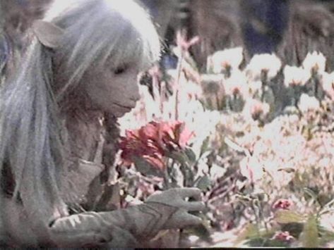 Jen And Kira, Life In One Picture, Spotify Music Aesthetic, Brian Froud, Top Tv Shows, Pale Horse, Picking Flowers, Dark Crystal, Crystal Aesthetic