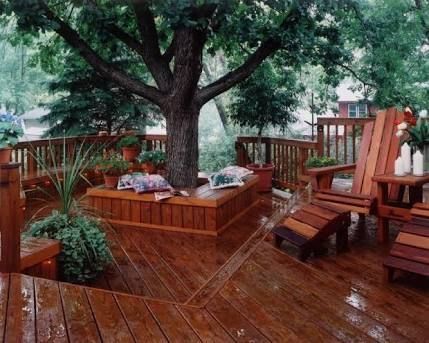 Cherry Wood Deck Deck Around Trees, Bench Around Trees, Tree Seat, Tree Deck, Landscaping Around Trees, Cedar Deck, Floating Deck, Deck Builders, Decks Backyard