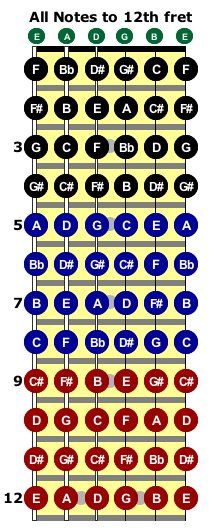 Fretboard Diagram With Note Names Here's a simple example diagram showing you the names of all notes up to the 12 fret. If you don't know these yet then yes, memorizing it all this can be quite boring but it is really really important. Bass Guitar Notes, Guitar Cord, Learn Guitar Chords, Basic Guitar Lessons, Music Theory Guitar, Guitar Lessons Songs, Guitar Notes, Bass Guitar Lessons, Not Musik