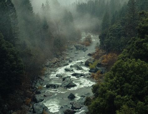 Acid rain's effects on our environment are troubling 🌧️, causing damage to lush landscapes like this pictured mountain stream. How does this unfold and what can we do about it? For insightful knowledge and tangible solutions, follow the link in our bio! 🌍💡 #acidrain #environment #nature #solutions #conservation Rain Landscape, Acid Rain, Rain Photo, Mountain Stream, Surface Water, Water Bodies, Historical Monuments, Soil Health, Our Environment