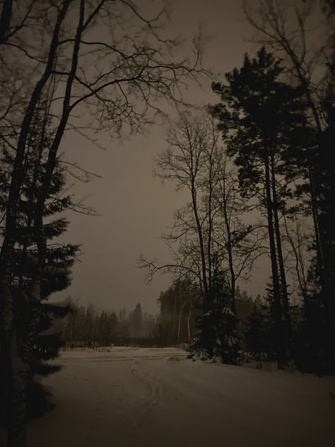 #forest #winter #night #aesthetic #dark #moody #nature #sad Winter Night Aesthetic, Night Aesthetic Dark, Moody Nature, Dark Naturalism, Night Forest, Winter Scenery, Aesthetic Dark, Winter Forest, Winter Night