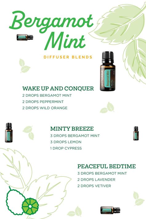 Bergamot Mint Diffuser Blend, Doterra Diffuser Blends, Diy Crafts Life Hacks, Oil Diffuser Recipes, Essential Oil Diffuser Recipes, Diffuser Blend, Diffuser Recipes, Wild Orange, Diffuser Blends