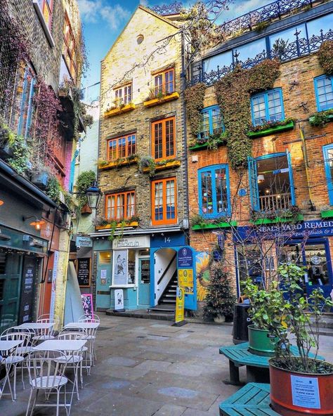 Neal's Yard, Neals Yard, London Dreams, Covent Garden London, London Garden, London Baby, London Aesthetic, London Summer, Sky Garden