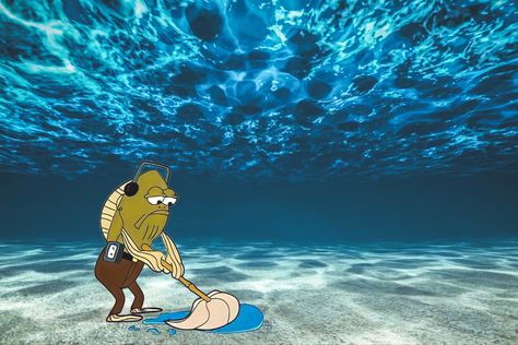 #spongebob #myleg #mopping #reaction #reactionimage Spongebob My Leg Guy, My Leg Spongebob, Funny Computer Backgrounds, Pc Wallpaper Full Hd, Funny Computer Wallpaper, Cool Wallpapers For Laptop, Spongebob Background, Pc Desktop Wallpaper, Meme Background