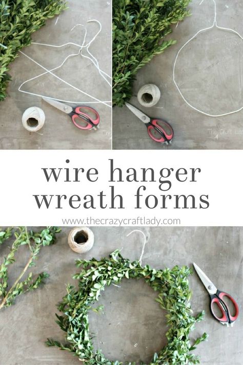 DIY boxwood wreaths - simple winter wreaths using a wire hanger wreath form Wire Hanger Wreaths Diy, Christmas Wreath Made From Wire Hanger, Christmas Wreaths Diy Easy Wire Hangers, Diy Wreath With Wire Frame, Diy Simple Wreath, Crafts With Wire Hangers, Simple Diy Wreath, Hanger Wreath Diy Christmas, Wreath Frame Diy