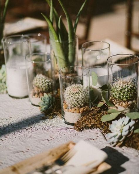 We love this cactus filled table decor. When flowers are too traditional, cacti are the way to go! #gayweddingideas #lovewins