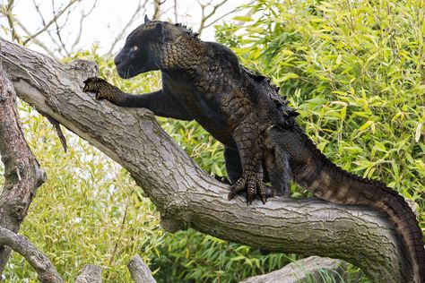 27+Terrifying+Animal+Hybrids+That+Will+Fuel+Your+Nightmares+For+Years+To+Come Animal Hybrids, Animal Mashups, Photoshopped Animals, Fake Animals, All About Animals, Creature Feature, Weird Creatures, Mystical Creatures, Weird Animals