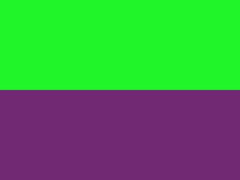 Purple and green Purple And Green Palette, Lime Green Rooms, Orange Elements, Purple Logo Design, Colour Mood, James King, Orange Fits, Purple Logo, Green Palette