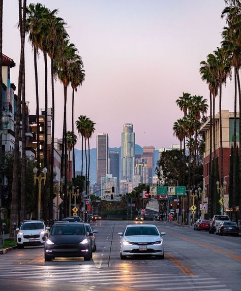 God Has Your Back, Apartment City, Usa San Francisco, Night Views, Los Angeles Street, General Aesthetic, City Of Stars, Los Angeles Travel, Los Angles