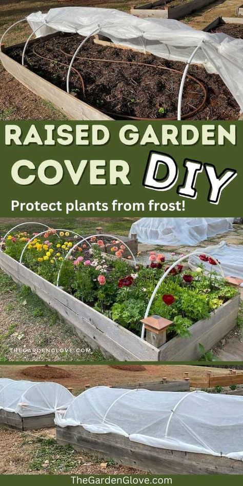 Raised Garden Bed Greenhouse Cover, Garden Bed Greenhouse Cover, Diy Garden Cover, Raised Garden Bed Covers, Garden Bed Covers, Protect Plants From Frost, Raised Bed Greenhouse, Frost Protection For Plants, Diy Raised Garden Bed