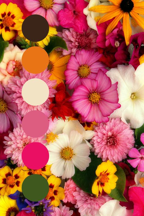 Tropical Flower Color Palette, Valentines Day Color Palette 2024, Pink Green Orange Color Palette, Pink Orange Green Color Scheme, Orange Pink Color Palette, Bright Wedding Palette, Orange And Pink Color Palette, Pink And Orange Color Palette, Floral Color Palette