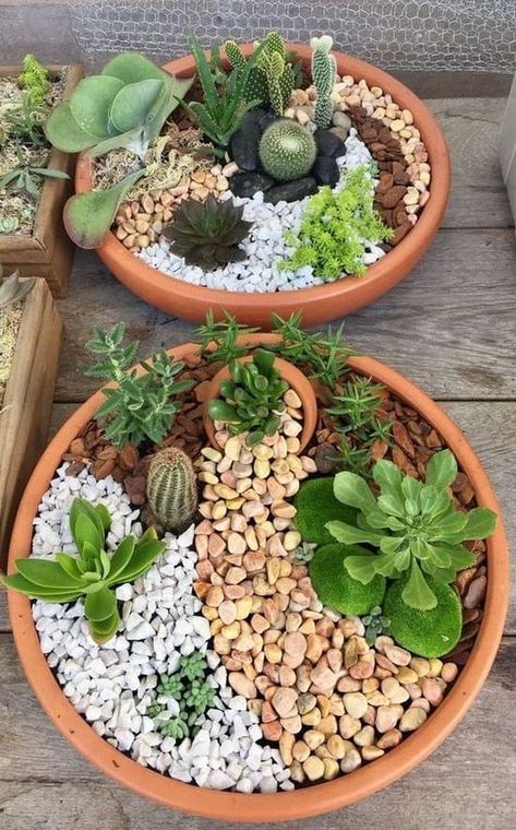 45 Amazing ideas for home mini succulent flower beds | My desired home Cactus Garden Design, Mini Cactus Garden, Kaktus Dan Sukulen, Succulent Garden Indoor, Succulent Garden Design, Succulent Garden Diy, Mini Cactus, Meteor Garden 2018, Dish Garden