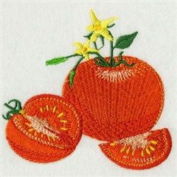 Embroidered Tomato, Tomato Embroidery, Library Kitchen, Library Embroidery, Embroidery Samples, Nature Embroidery, Appliqué Ideas, Waffle Weave Towels, Applique Quilting