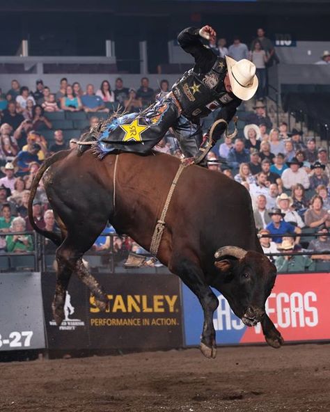 ❦ showyourcattle                                                                                                                              ... Rodeo Pictures, Pbr Bull Riders, Pbr Bull Riding, Bucking Bulls, Bronc Riding, Rodeo Time, Professional Bull Riders, Rodeo Events, Elsie Silver