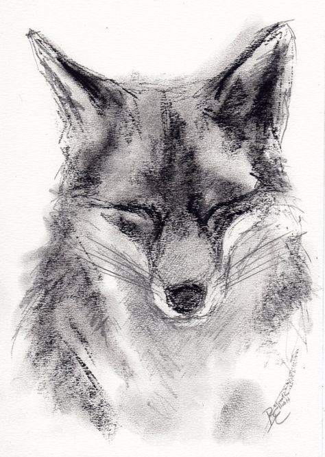 Carbon Drawings, Charcoal Art Easy, Simple Charcoal Drawing, Coal Drawing, Art Fox, Fox Drawing, Art Charcoal, Charcoal Pencil, Charcoal Sketch