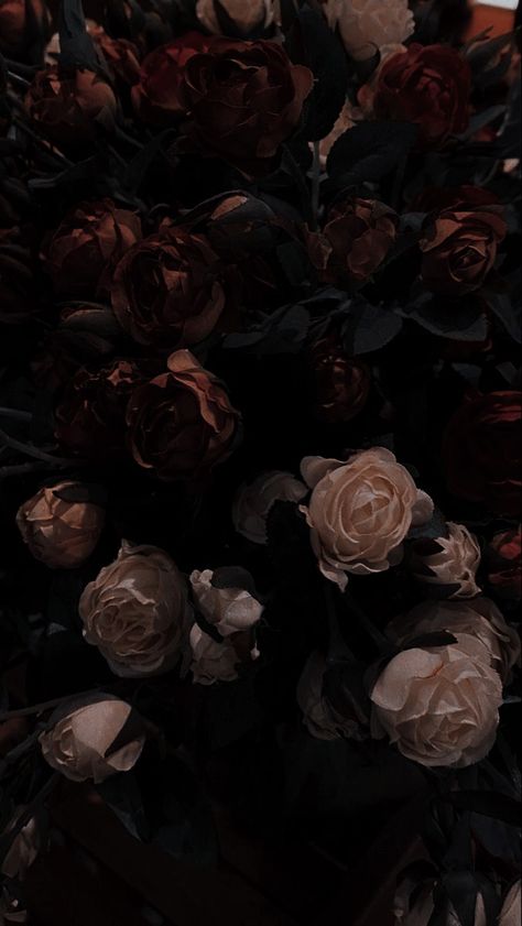 Dark Vintage Floral Wallpaper, Dark Floral Aesthetic Wallpaper, Flowers With Dark Background, Dark Floral Wallpaper Iphone, Dark Flower Aesthetic Wallpaper, Dark Academia Flowers, Dark Academia Floral, Blood Wallpaper, Vintage Photo Editing