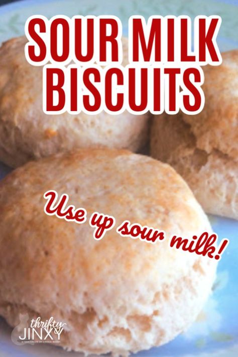 If you end up with milk that has gone a bit sour, you don't have ti throw it away! Use it to make these DELICIOUS Sour Milk Biscuits! It's an easy recipe the whole family will love. #biscuits #biscuitrecipe #sourmilk #thriftyrecipe #bread Recipe Using Sour Milk, Sour Milk Recipes, Hippy Life, Leftover Milk, Sour Milk, Make Biscuits, Milk Biscuits, How To Make Biscuits, Biscuit Rolls