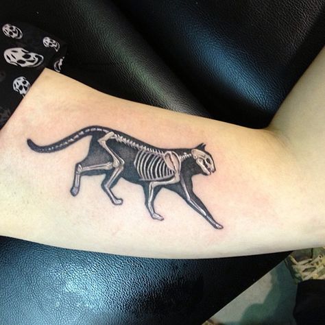 Cat Skeleton Tattoo, Tier Tattoo, Skeleton Tattoo, Cat Skeleton, Black Cat Tattoos, Kunst Tattoos, Skeleton Tattoos, Cat Tattoos, Skin Art