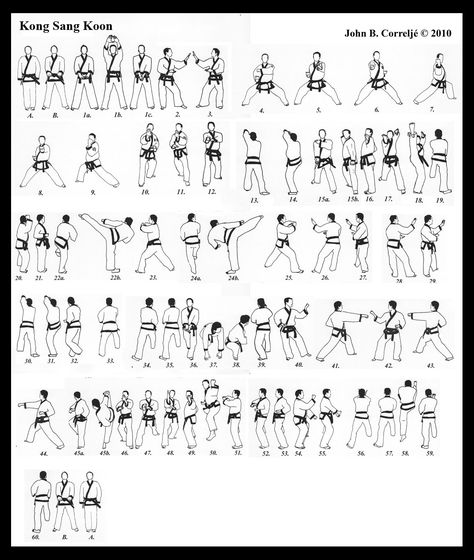 Taekwondo Forms, Okinawan Karate, Karate Styles, Korean Martial Arts, Karate Kata, Tang Soo Do, Shotokan Karate, Martial Arts Techniques, Martial Arts Styles