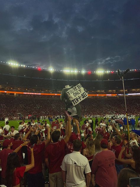 Alabama Astetic, University Of Alabama Aesthetic, Alabama Vs Auburn, Alabama Football Game, Bama Gameday, Alabama University, Alabama College Football, Alabama Christmas, Alabama College