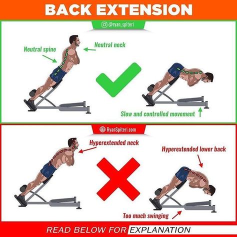 Back extension Follow(@workout.important)for more content Workout Posture, Squats Muscles Worked, Squats Video, Back Extension, Sixpack Workout, Gym Antrenmanları, Bulgarian Split Squats, Gym Tips, Split Squat