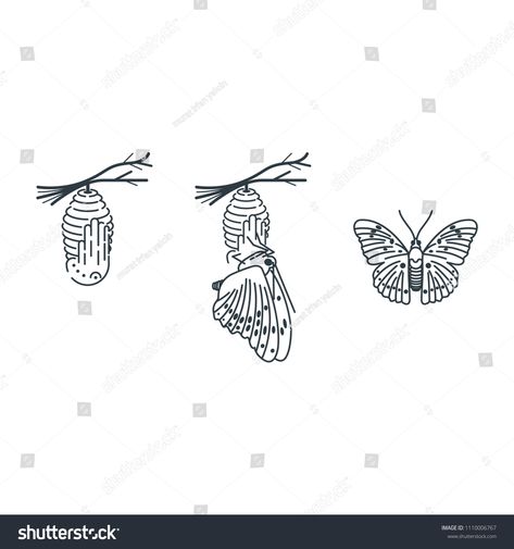 cocoon and butterfly vector drawingbutterfly#cocoon#drawing#vector Butterfly Cocoon Tattoo Designs, Butterfly Coming Out Of Cocoon Drawing, Cocoon Tattoo Butterfly, Cocoon To Butterfly Tattoo, Butterfly Cocoon Craft, Butterfly Cocoon Drawing, Butterfly Coming Out Of Cocoon Tattoo, Butterfly Cocoon Tattoo, Cocoon Drawing