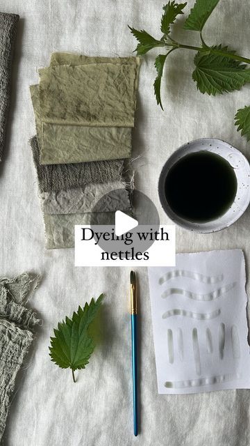 NATURAL DYEING | REBECCA DESNOS on Instagram: "Dyeing with nettles 🌿 Maybe a weed to some people, but an incredibly useful herb to the rest of us 😍 Nettles not only make delicious and nourishing tea, but they produce beautiful grey/green shades in the dye pot too. You’ve probably heard me talk about this before, but my number one tip for pretty much all dye plants is to allow them to soak in the dye for longer than you might first think. The colour will continue to change and darken as it oxidises. Heat gently (never boil) then turn off the heat, leave the lid on and allow the plants to soak in the dye over night. Observe as the dye darkens and reheat if you like, then leave to soak for longer. Practice this for different plants and trust your own judgement for making dyes ✨ I compa Natural Green Dyes For Fabric, Desire Paths, Natural Green Dye, Diy Ink, Eco Dyeing Fabric, Dye Plants, Leaf Dyeing, Natural Dyeing Techniques, Grey Dye