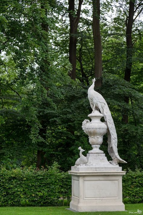 Peacock statue at the Staverden Castle, Ermelo, Netherlands. The first house was build in the thirteenth century as a hunting lodge used by the counts and dukes of Gelre. The house was named 'Pauwenburcht' (Peacock Castle) because of the white peacocks they kept there. The dukes of Gelre used to wear the feathers on their helmets. The present house was build in 1905 on the foundations of a house dating from the seventeenth century. White Peacocks, Peacock Statue, Peacock Photos, First House, Hunting Lodge, Bungalow House Design, Design Your Dream House, Green Garden, Dream House Exterior