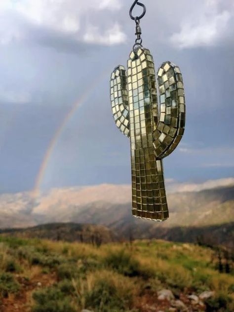 Disco Cactus, Disco Ball Art, Pink Cactus, Green Giant, Living In San Francisco, Cool Mirrors, Saguaro Cactus, Sonoran Desert, Square Mirror