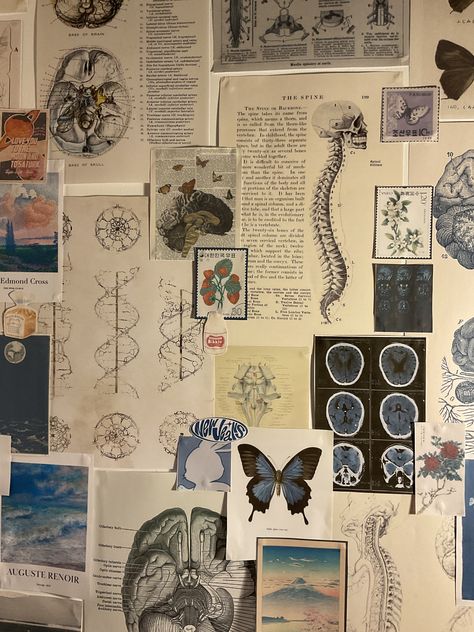 Med Student Room Aesthetic, Medical Aesthetic Room, Science Aesthetic Room, Med Student Apartment, Science Bedroom Aesthetic, Science Room Aesthetic, Biology Room Decor, Medical Student Room, Science Bedroom Decor