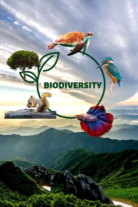 Biodiversity Biodiversity Conservation Images, Biodiversity Pictures, Biodiversity Art, Biodiversity Illustration, Graphic Book Cover, Bio Diversity, Brain Storming, Logo Moodboard, Biodiversity Conservation