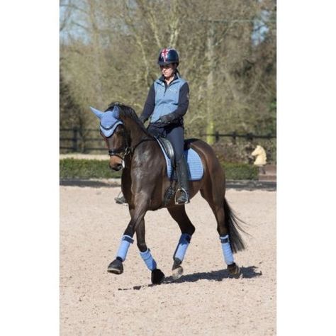 Corn Blue LeMieux Matching Set. Fly veil, saddle and matchy bandages.  #horses #equine #equestrian Horse Rider Outfit, Charlotte Dujardin, Equestrian Helmets, Equestrian Helmet, Horse Equipment, English Riding, Equestrian Sports, Horse Blankets, Horse Equestrian