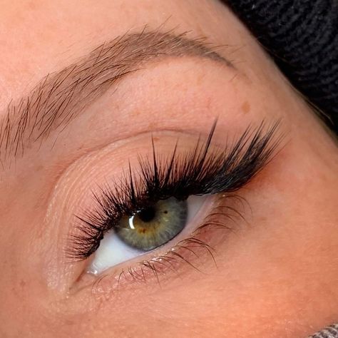 Eyelash Extensions L Curl, L Curl Lashes Extensions, L Eyelash Extensions, Lash Extensions L Curl, L Lash Extensions, Cat Lash Extensions, L Curl Lash Extensions, L Curl Eyelash Extensions, Cat Eyes Lashes