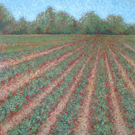 Strawberry Field Drawing, Strawberry Field, Dream Core, Field Paint, Northern Wisconsin, Strawberry Farm, Strawberry Fields Forever, Berry Bushes, Berry Farm