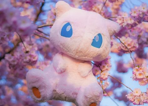 Plush Photography, Pokémon Plushies, Plush Aesthetic, Mew Plush, Pink Pokemon, Pokemon Stuffed Animals, Pokemon Plushies, Mew And Mewtwo, Pokemon Mew