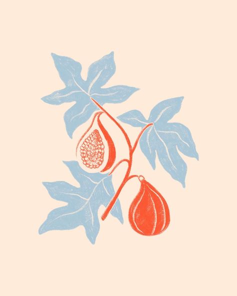 Lydia Ellen Design on Instagram: “Day 5 & I chose another #theydrawtober prompt because I simply can’t resist drawing fruit, this time ‘figs’ 🌿 as per always swipe for a few…” Fig Drawing, Drawing Fruit, Woodblock Printmaking, Custom Portrait Illustration, Fruits Drawing, As Wallpaper, Clay Crafts Air Dry, Fruit Illustration, Plant Illustration