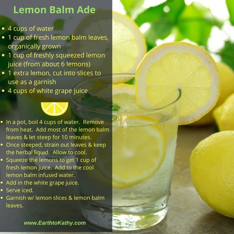 Lemon Balm Lemonade Recipe, Lemon Balm Lemonade, Lemon Ade Recipes, Lemon Balm Water Recipe, Lemon Balm Drink Recipes, How To Make Lemon Balm, How To Make Lemon Balm Tea, Lemon Balm Water, Lemon Balm Recipes Food