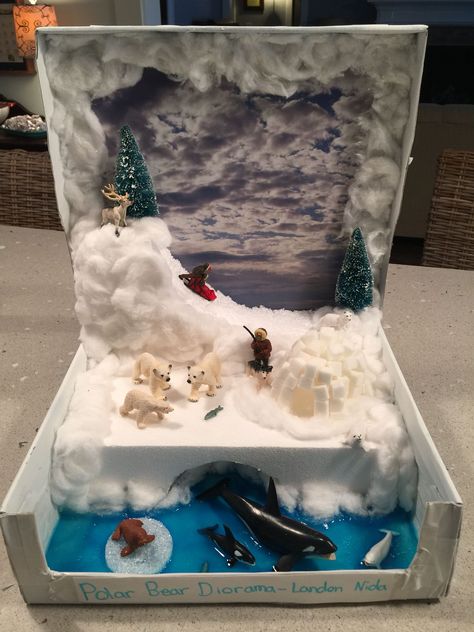 Tundra Biome Project, Biome Project Ideas, Polar Bear Habitat, Shoe Box Diorama, Tundra Biome, Biome Project, Arctic Habitat, Biomes Project, Diorama Kids