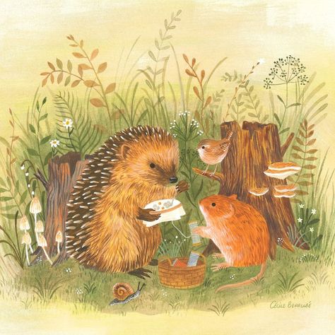 Cécile Berrubé illustrations Cottagecore Animals, Hedgehog Illustration, Embroidery Workshop, Cottagecore Art, Storybook Art, Autumn Illustration, Hedgehog Art, Children Book, Fairytale Art