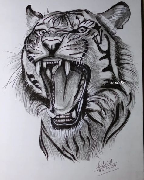 RATE THIS ARTWORK ✨ ◾ DM FOR PAID WORK ✍️ #instagram #art #artist #artistsoninstagram #tiger #trending #viral #exploremore #explore #_ndsketch30_ #support #sketch #drawing #dmfororder #like #share #feedfeed #feed #follow #portrait Tiger Drawing Sketches, Tiger Drawing Pencil, Tiger Tattoo Drawing Sketches, Tiger Sketch Pencil Easy, Tiger Face Drawing, Tiger Pencil Shading, Tiger Sketches Pencil, Tiger Art Drawing, Tiger Drawings