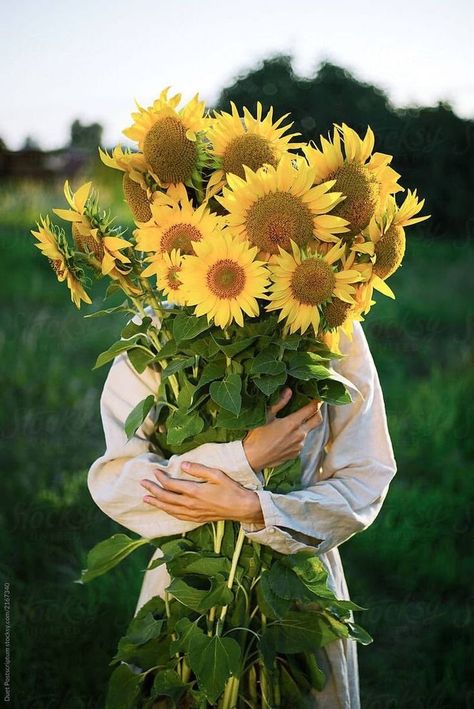 Sunflower Photography, Sunflower Photo, Holding Flowers, Charles Darwin, Happy Flowers, Sunflower Fields, Flower Farm, Love Flowers, Pretty Flowers