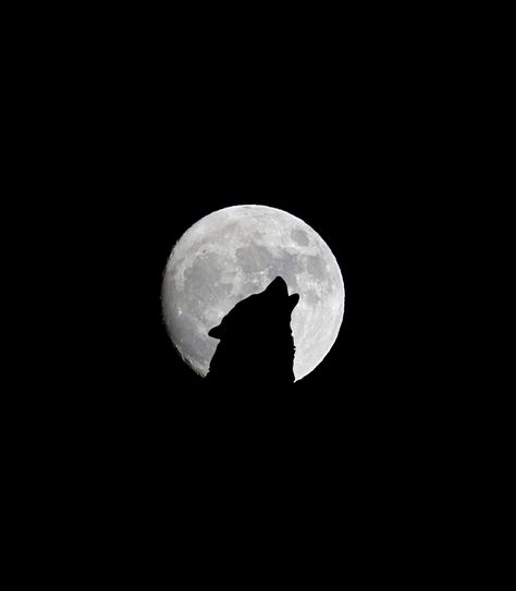 wolf and full moon full moon #wolf #howl #bw #2K #wallpaper #hdwallpaper #desktop Sun In Libra, Full Moon In Aries, Wolf Wallpaper, Wolf Moon, Dark Corners, Wolf Howling, Black Wolf, Dark Photography, Original Wallpaper