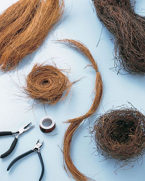 Martha Stewart Holiday, Primitive Crafts, Coconut Fiber, Seasonal Crafts, Nature Crafts, Bird Nest, Spring Crafts, Diy Projects To Try, Craft Inspiration