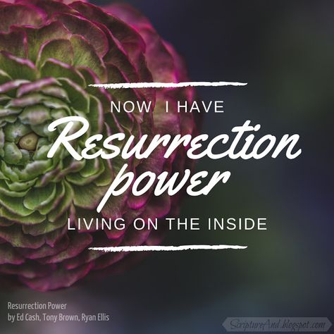 Resurrection Power Quotes, Jeremy Camp, Walk In The Light, Joel Osteen, Child Of God, Spiritual Life, Inspiration Quotes, Great Quotes, Gods Love