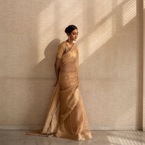 Plain Gold Saree, Silk Tissue Saree, Saree Shoot, Formal Saree, Competition Hair, Studio Photography Fashion, Bride Photography Poses, Fashion Artwork, Saree Poses