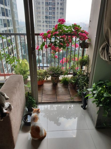 Balcony Oasis, Condo Balcony, Apartment Balcony Garden, Small Balcony Garden, Fairy Home, French Country Living Room, Balcony Plants, Cat Products, Porch And Balcony