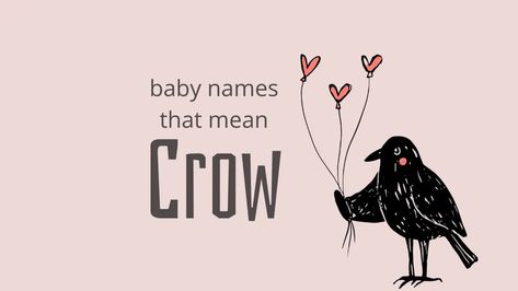 This list of baby names that mean crow is filled with a variety of unique and impactful options for both boys and girls. Names That Mean Crow, P Baby Names, Japanese Names For Girls, Crow Meaning, Welsh Names, Boy Name Meanings, Baby Crows, Unique Boy Names, Unusual Names